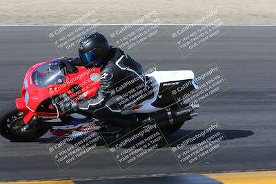 media/Feb-04-2023-SoCal Trackdays (Sat) [[8a776bf2c3]]/Turn 6 Inside (1025am)/